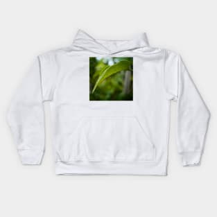 Leaf Kids Hoodie